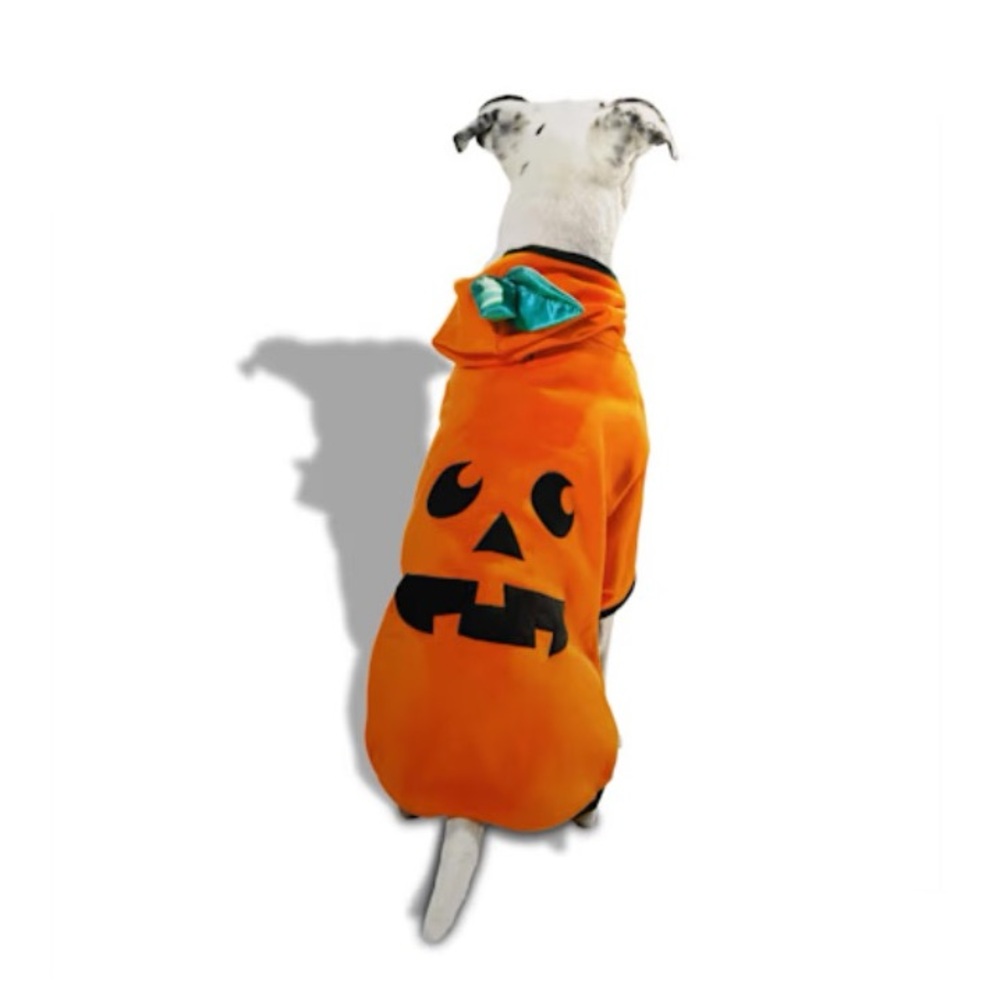🎃  🐶 BOOTIQUE Pumpkin Hoodie for Dogs, X-Large